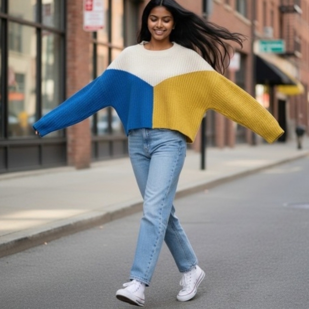 Sincerely Jules Colorblock Cropped Knit Sweater Oversized Sz. S